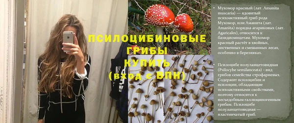 амф Аркадак