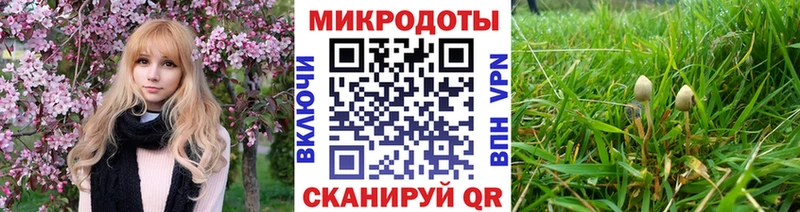 Псилоцибиновые грибы Cubensis  Усть-Лабинск 